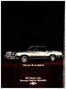 Chrysler 1976 7.jpg